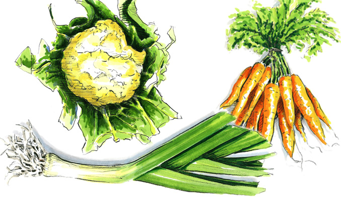 scribble_allgemein_7